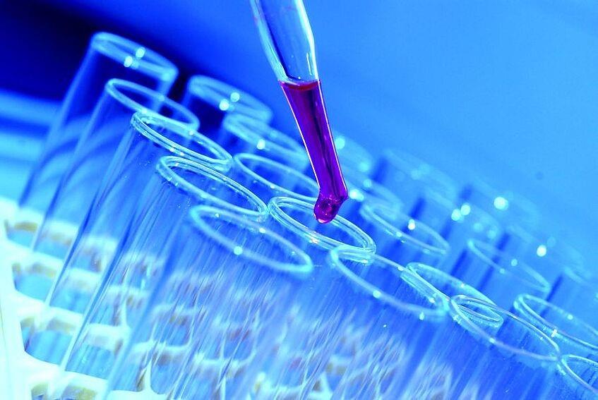 بررسی مواد غذایی در رشته علوم تغذیه